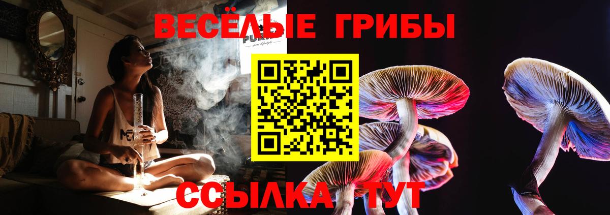 Галлюциногенные грибы GOLDEN TEACHER Каменск-Шахтинский