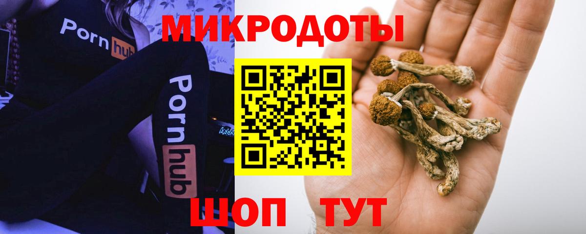 Каменск-Шахтинский  Псилоцибиновые грибы Psilocybe  Вход с VPN 